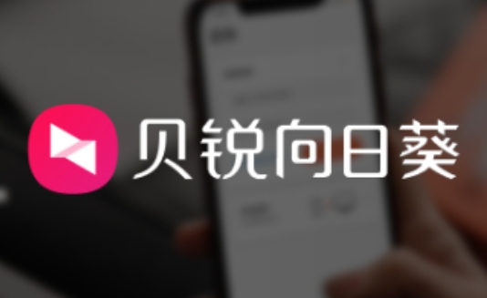 向日葵远程自动登录设置：详细操作流程全解析 