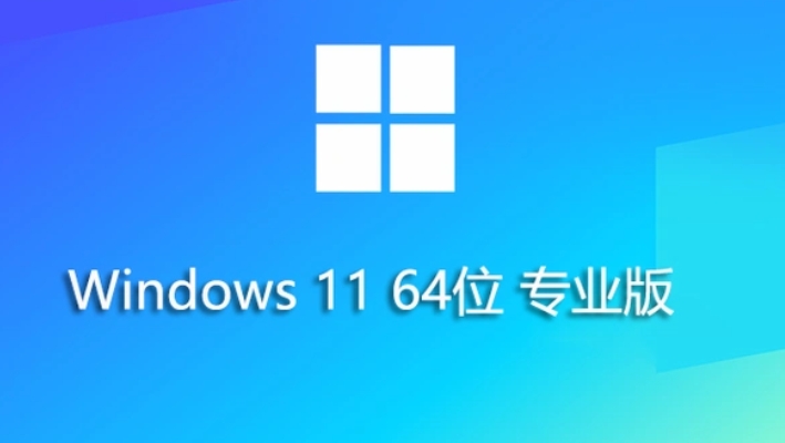 Windows 11 64位23H2专业版装机版：详细安装方法 