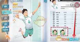 《排球少年新征程：揭秘球员升星的关键方法与途径》 