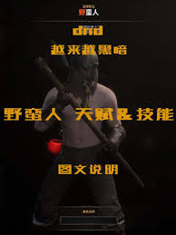 越来越黑暗德鲁伊适配武器大揭秘：哪些才是最佳之选？ 