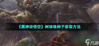 《黑神话悟空探秘：树珍珠种子究竟该如何获取？》 