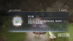 无限暖暖芽之韵获取攻略：探秘如何轻松拥有芽之韵 